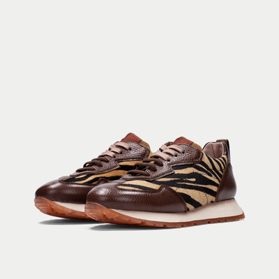 ZZI254312 Avellena/ Zebra Leather Sneakers